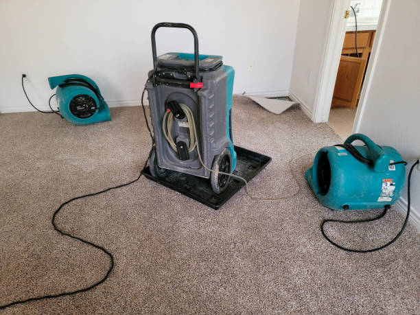 Best Flood restoration services  in Callahan, FL