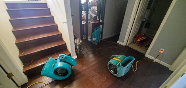 Best Commercial water damage restoration  in Callahan, FL