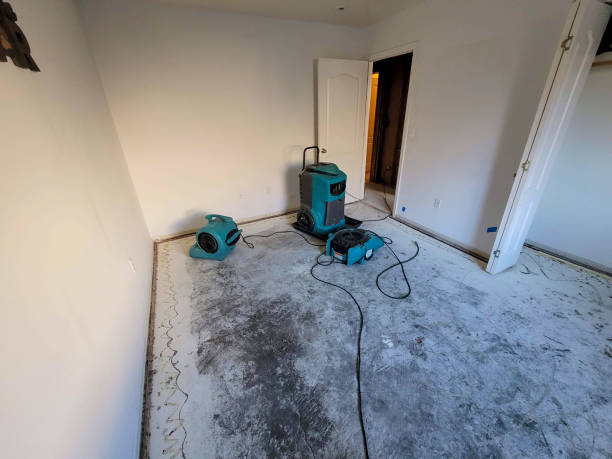 Best Basement water damage restoration  in Callahan, FL
