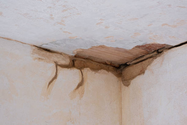 Best Water damage contractors near me  in Callahan, FL