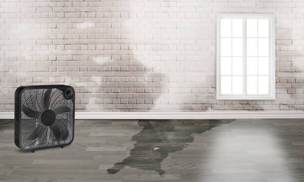 Carpet water damage restoration in Callahan, FL