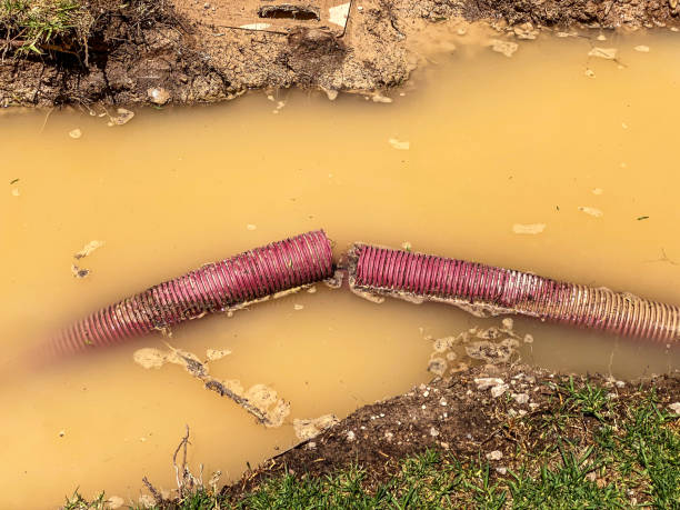 Best Professional water damage repair  in Callahan, FL
