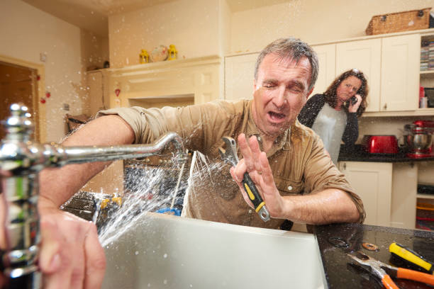 Best Water damage restoration company  in Callahan, FL